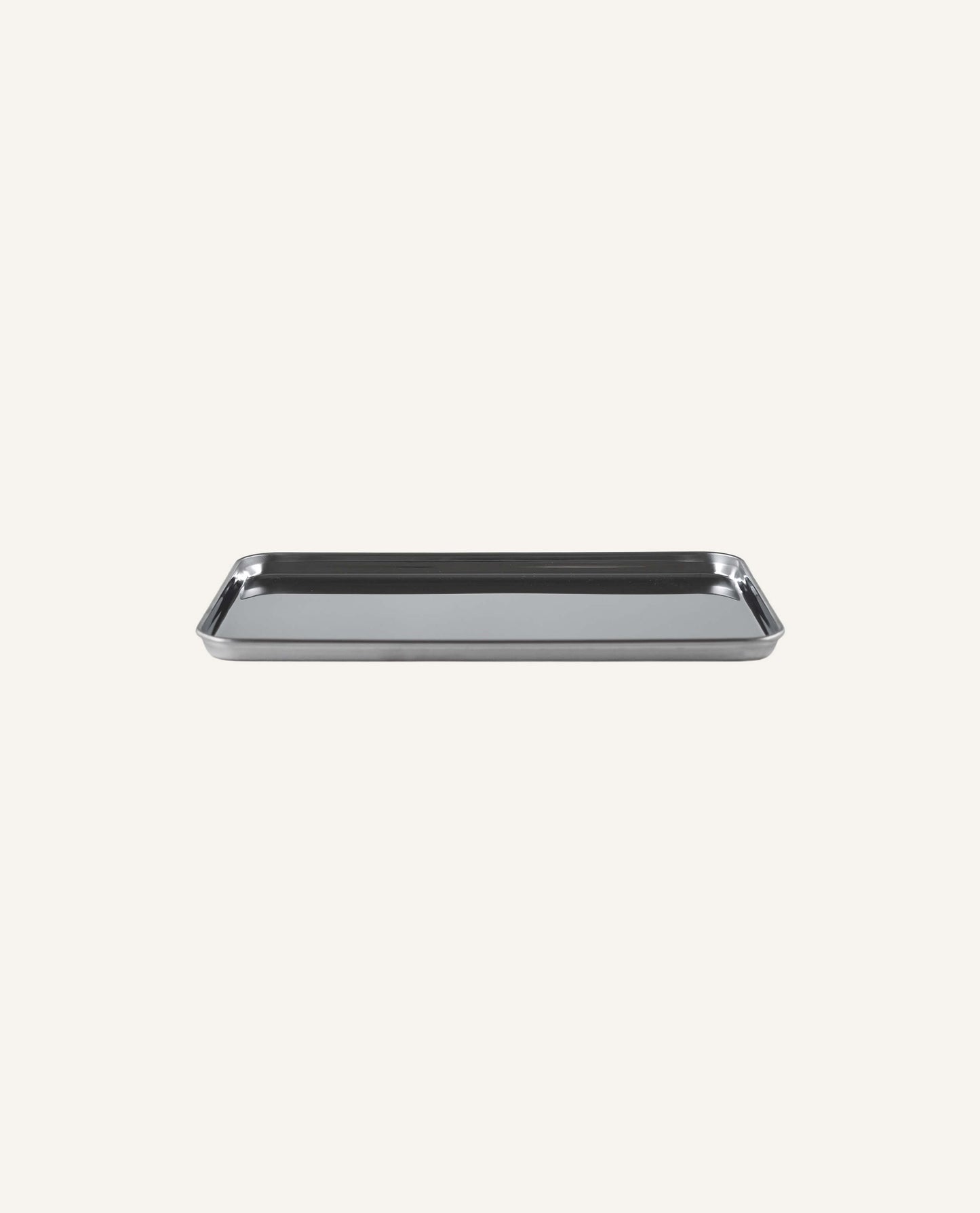 Small Rectangular Stainless Tray