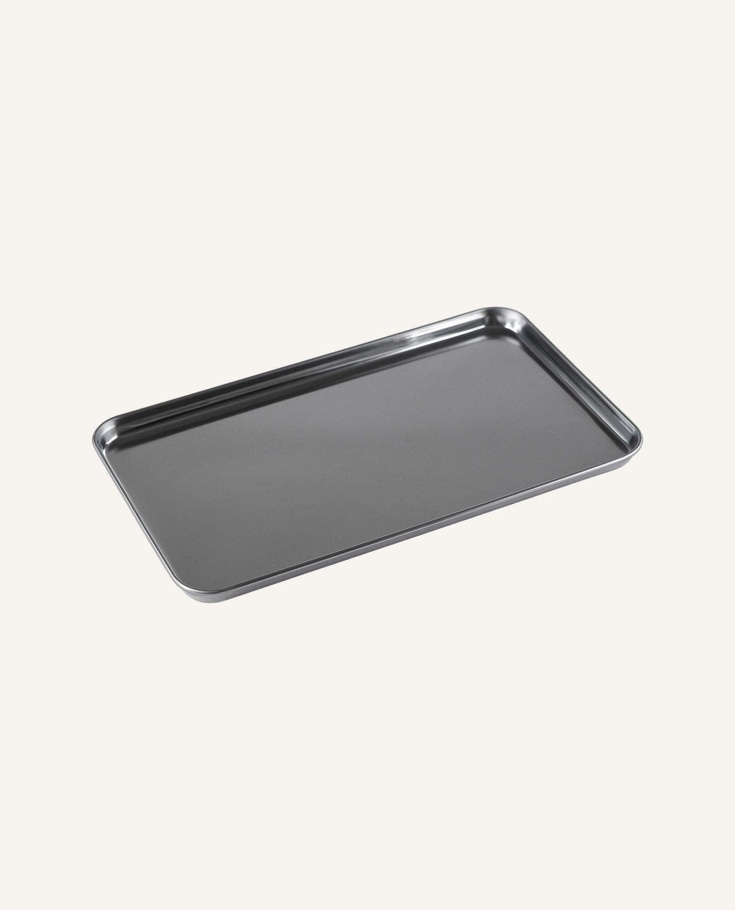 Small Rectangular Stainless Tray